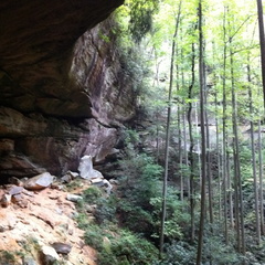 D. Boone Hut